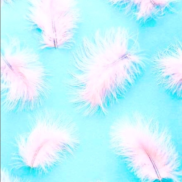 Meet your Posher, Ellie - Picture 1 of 1